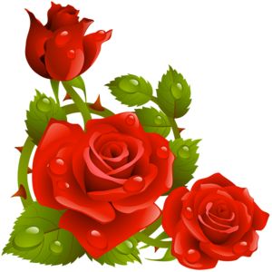 300x300 Rose Clipart Borders