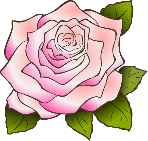 600x572 Single Pink Rose Vintage Clip Art Image