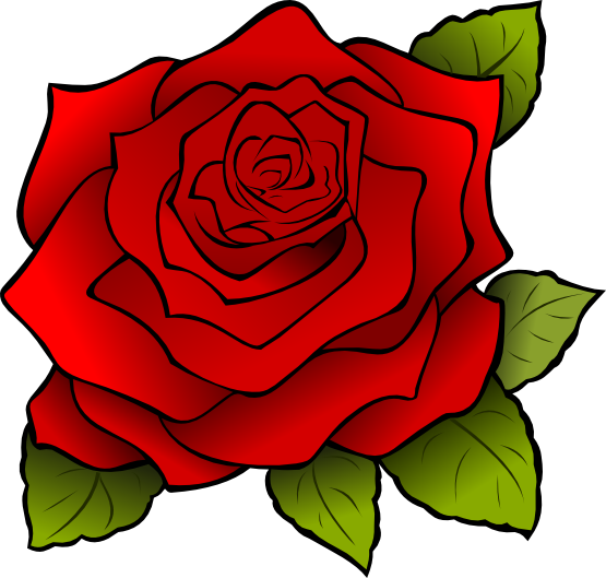 555x529 Clip Art Roses