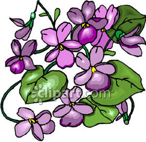 300x291 Violet Clip Art
