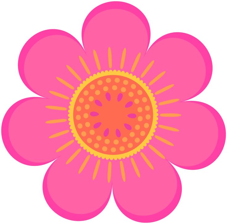 736x726 Violet Clipart Orange Flower