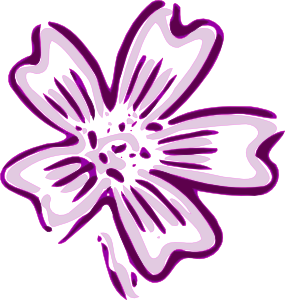 285x300 Flower Of Chicora Clip Art