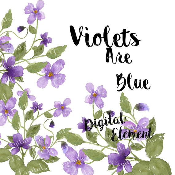 570x570 Watercolor Flower Clip Art Lilac Violet Floral Clip Art