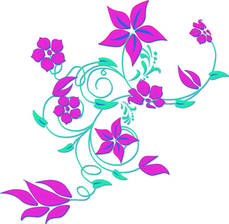 736x720 Best Flower Border Clipart Ideas Clipart