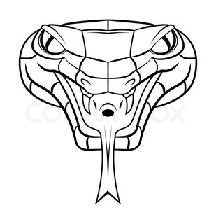 309x320 Illustration Of A Viper Snake Serpent Head Facing Side Baring
