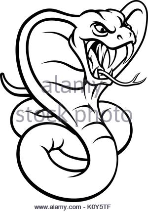 300x429 Cobra Viper Snake Attacking Cartoon Stock Photo, Royalty Free