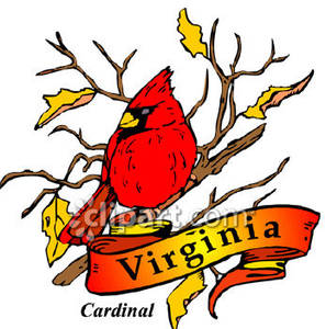 297x300 Cardinal Clipart Virginia