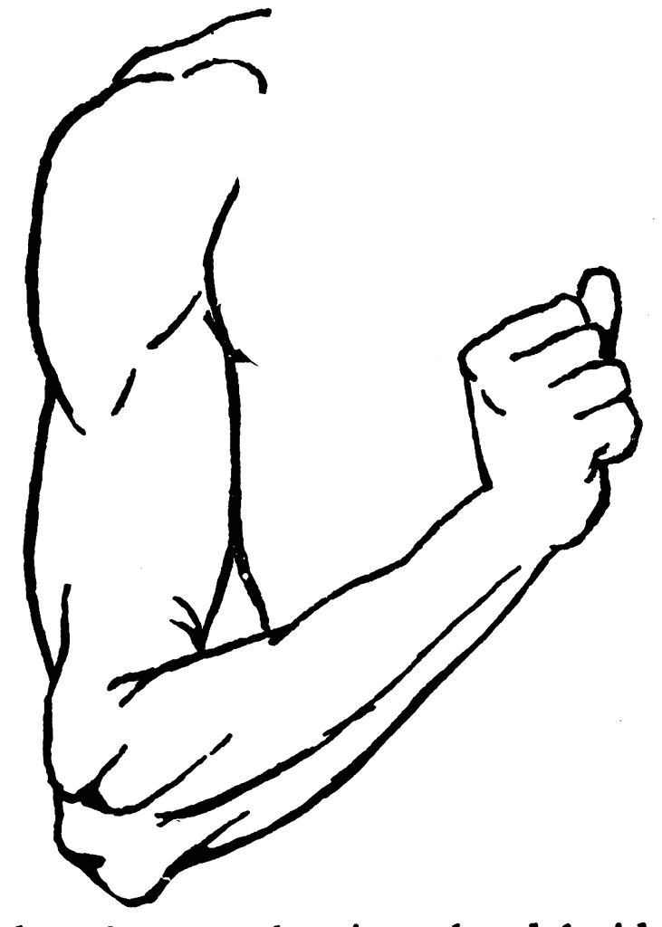 731x1024 Clip Art Cartoon Arms Clipart