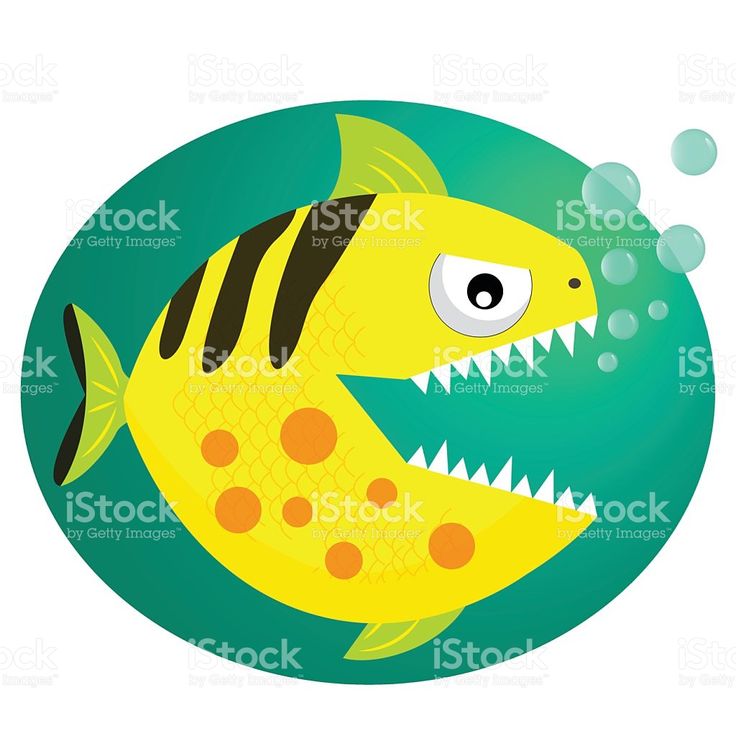 736x736 66 Best Cute Animals Fish Vector Animation Color Bubbles
