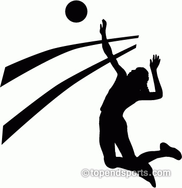 356x368 Graphics For Volleyball Clip Art And Graphics