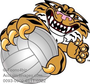 300x280 Art Illustration Of A Cartoon Tiger Playing Volleyball