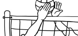 272x125 Volleyball Clipart 8 2