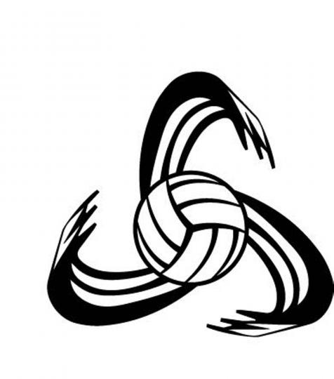 476x540 Scarborough Synergy Volleyball Club