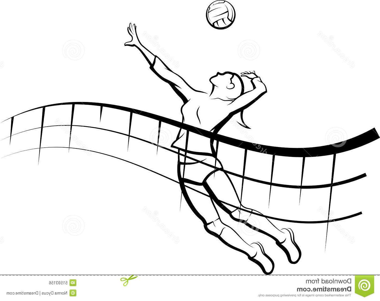 Volleyball Drawing | Free download on ClipArtMag