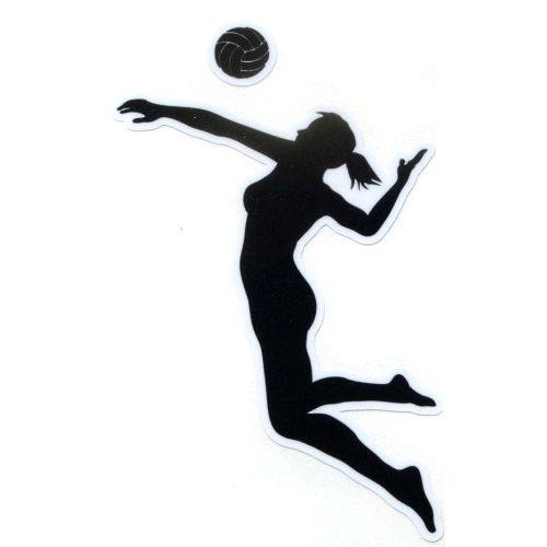 500x500 Free Volleyball Clipart