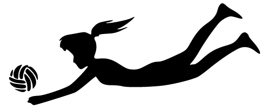 543x231 Volleyball Silhouette
