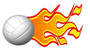 350x215 Volleyball On Fire Nvsi