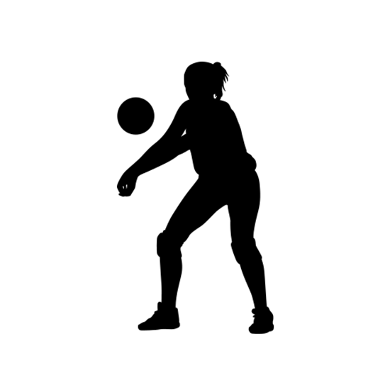 550x550 Volleyball Player Decals (Wall Silhouettes) Volleyball Player