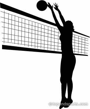 304x371 Volleyball Gym Clipart, Explore Pictures