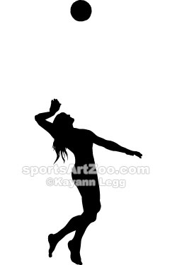 250x375 Beach Volleyball Female Silhouette Sports Art Zoo