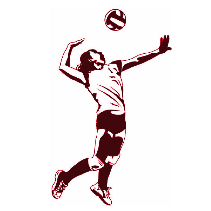 Volleyball Spike Silhouette | Free download on ClipArtMag