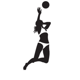 265x265 Volleyball Player Silhouette Setter