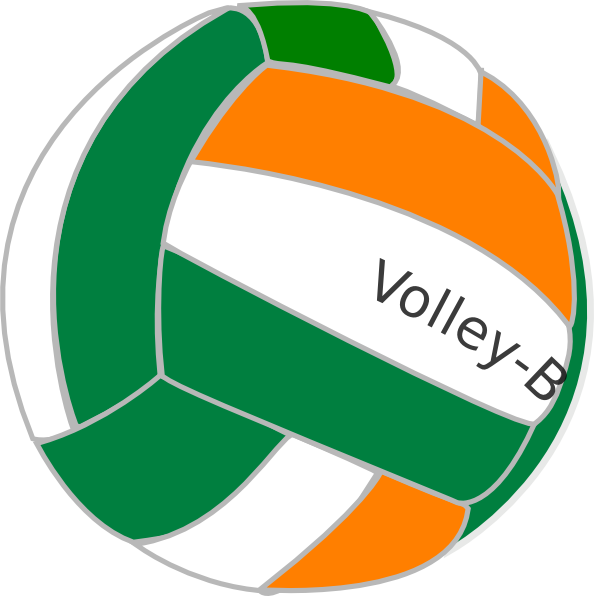 594x596 Pictures Of Volley Balls
