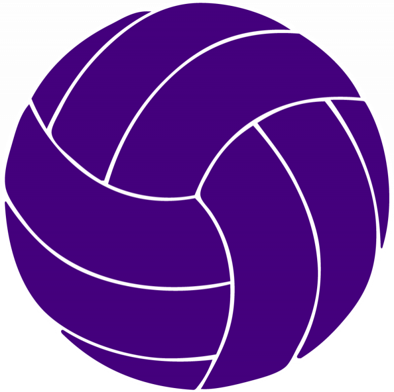 800x796 Pictures Of Volleyballs