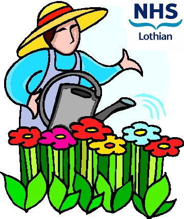 359x428 Local Volunteering Opportunities Voluntary Sector Gateway West