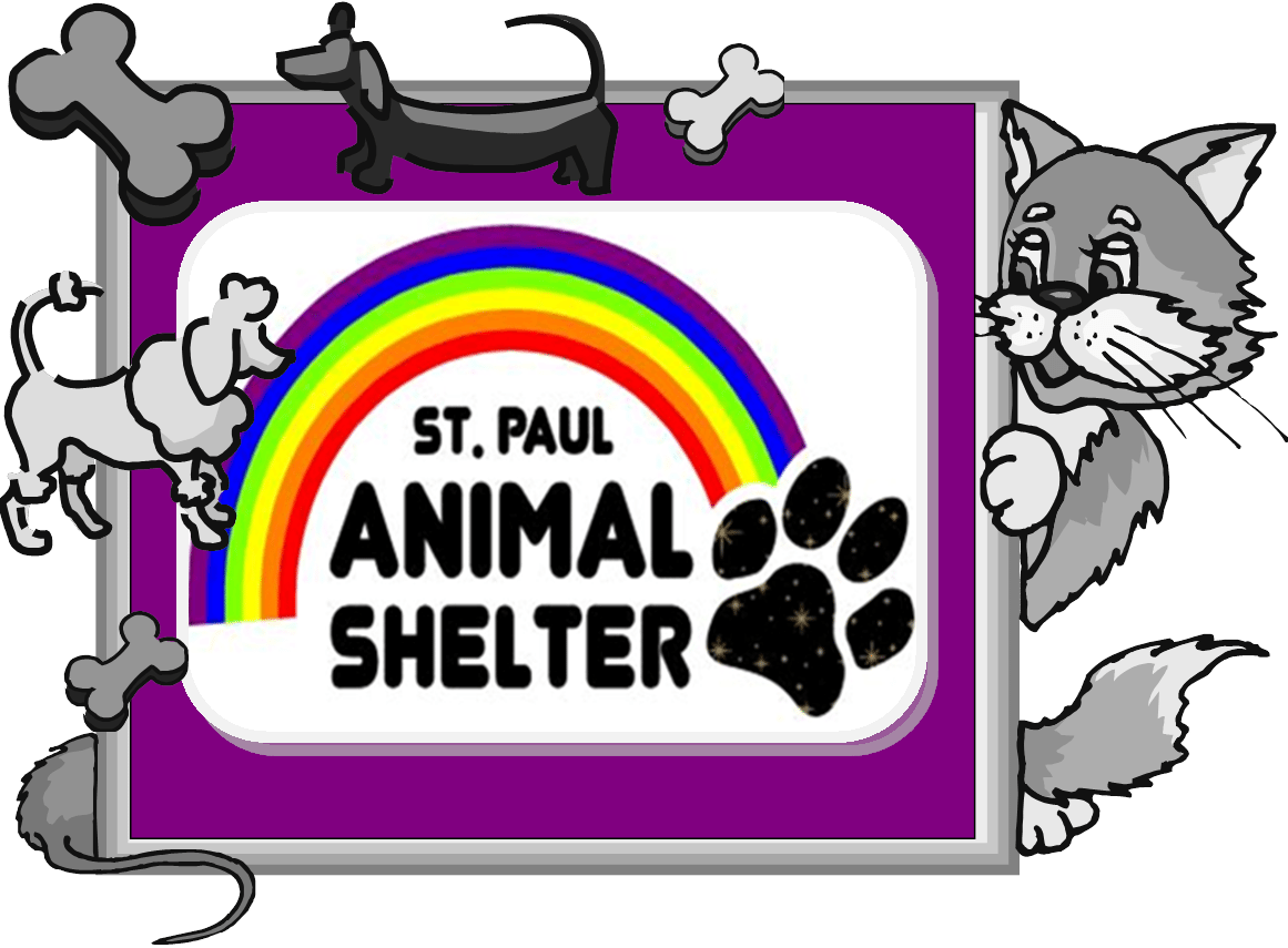 1161x855 St. Paul Animal Shelter Looking For Volunteers