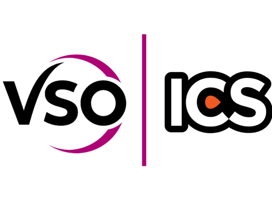 534x394 Volunteering Opportunities For Africans