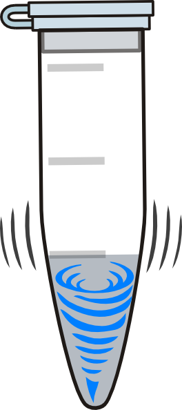 264x594 Vortex Clip Art