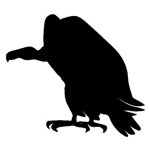 Vulture Clipart