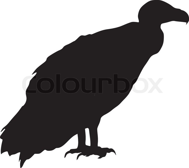 800x711 Graphics For Vulture Vector Graphics