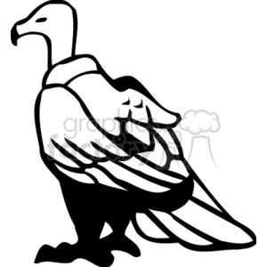 300x300 Royalty Free Black And White Vulture 130709 Vector Clip Art Image