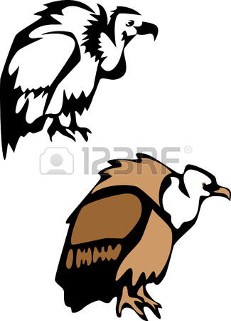 325x450 The Vector Illustration Of The Aggressive Wild Vulture Staring