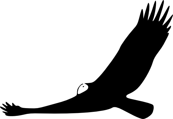 600x415 Turkey Vulture Clip Art Free Vector In Open Office Drawing Svg