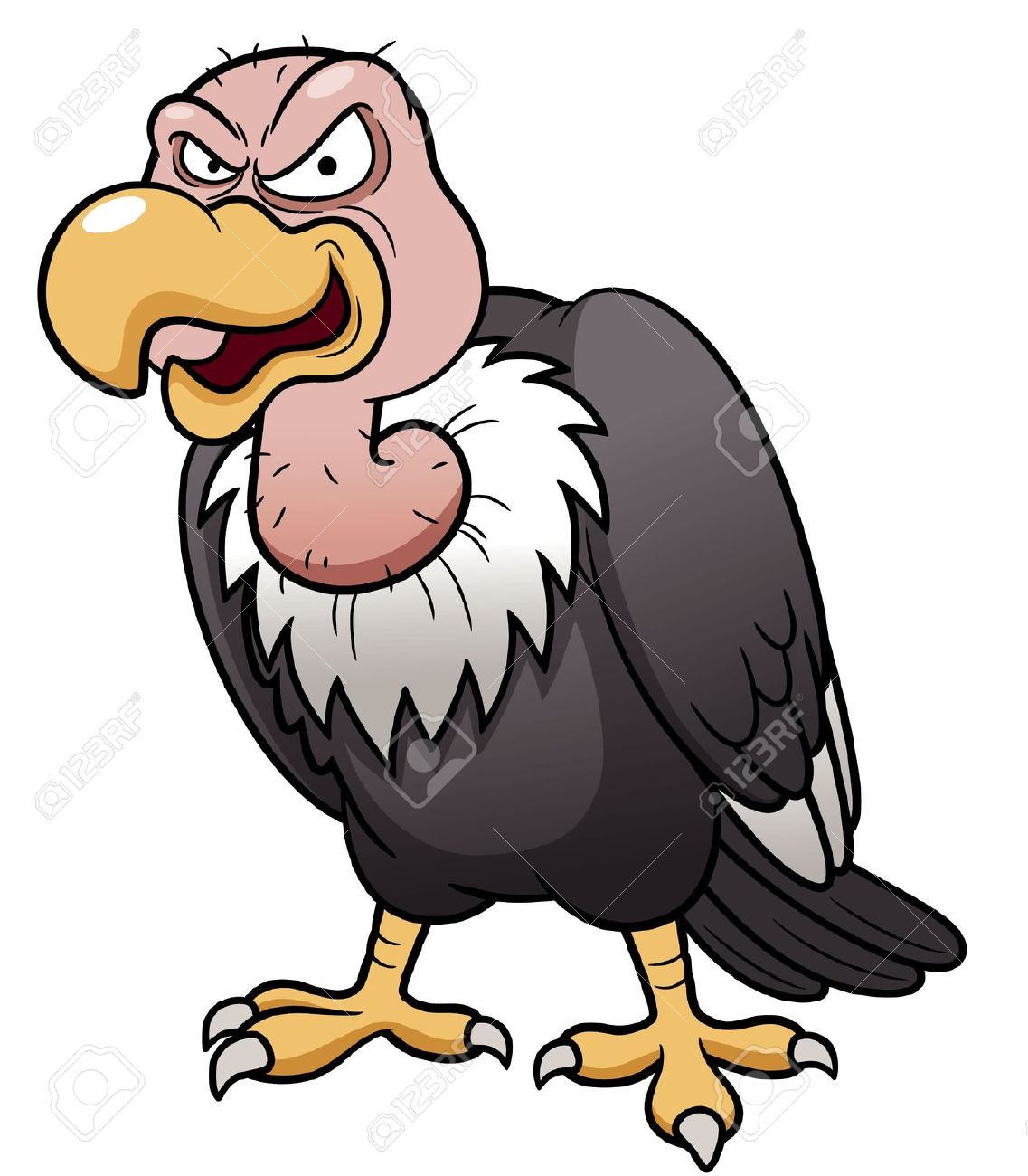 1137x1300 Vulture Clipart