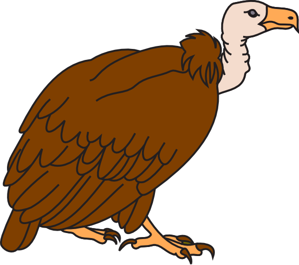 600x531 Big Brown Vulture Clip Art