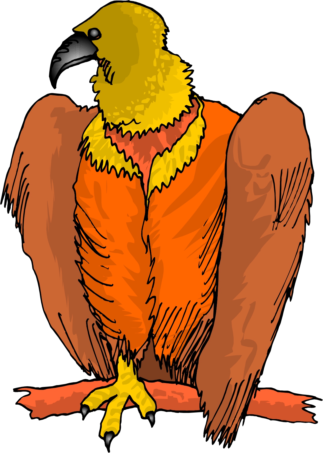 1095x1535 Vulture Clipart