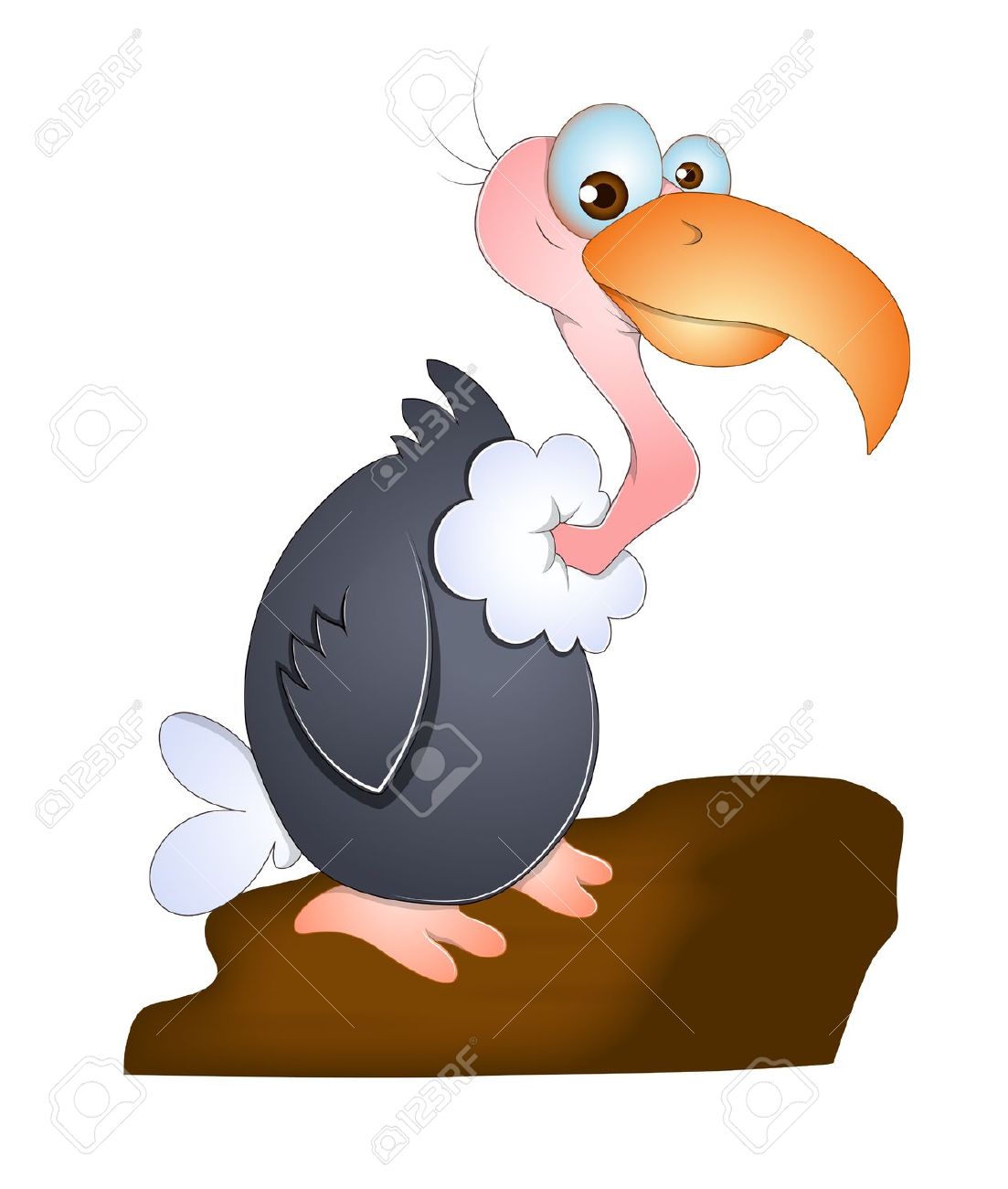 1103x1300 Vulture Clipart