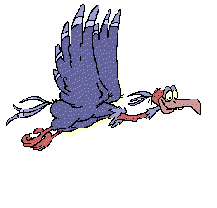 240x230 Vulture Clipart Animated
