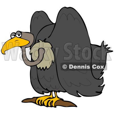 400x400 Vulture Clipart Bird