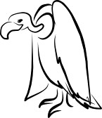 145x168 Vulture Clipart Black And White