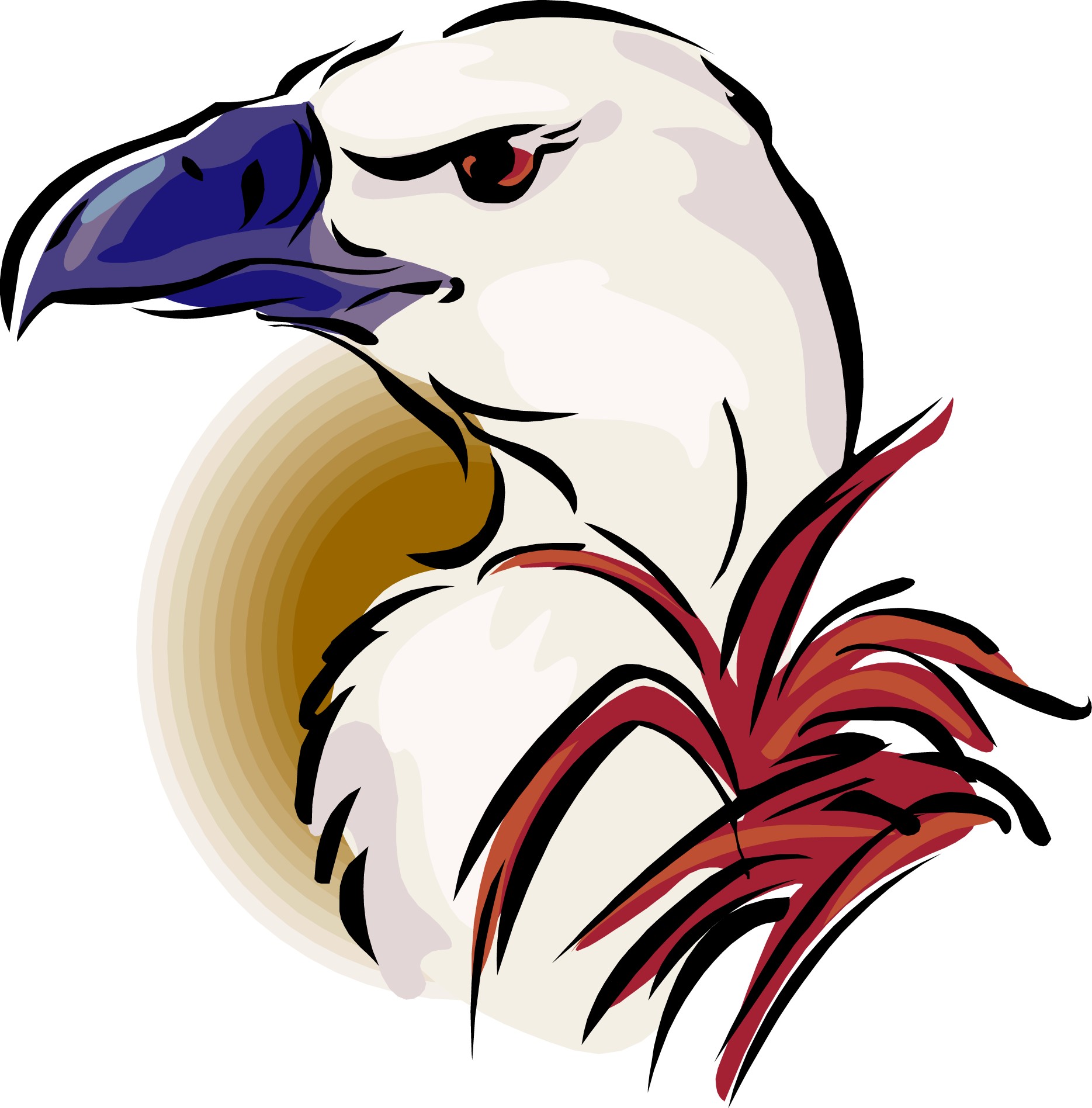 1869x1896 Vulture Clipart Old