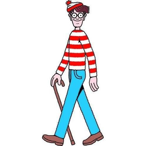 496x496 The Best Where's Waldo Party Costume Ideas
