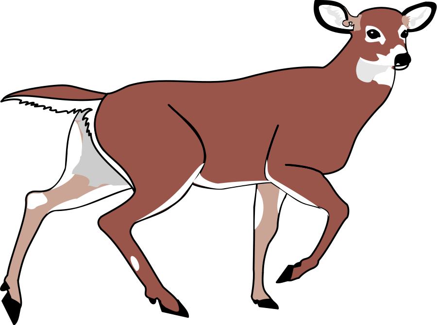 900x670 Deer Clip Art Free Clipart Images