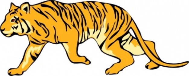 626x251 Yellow Tiger Clip Art Walking In Side View Download Free Animal