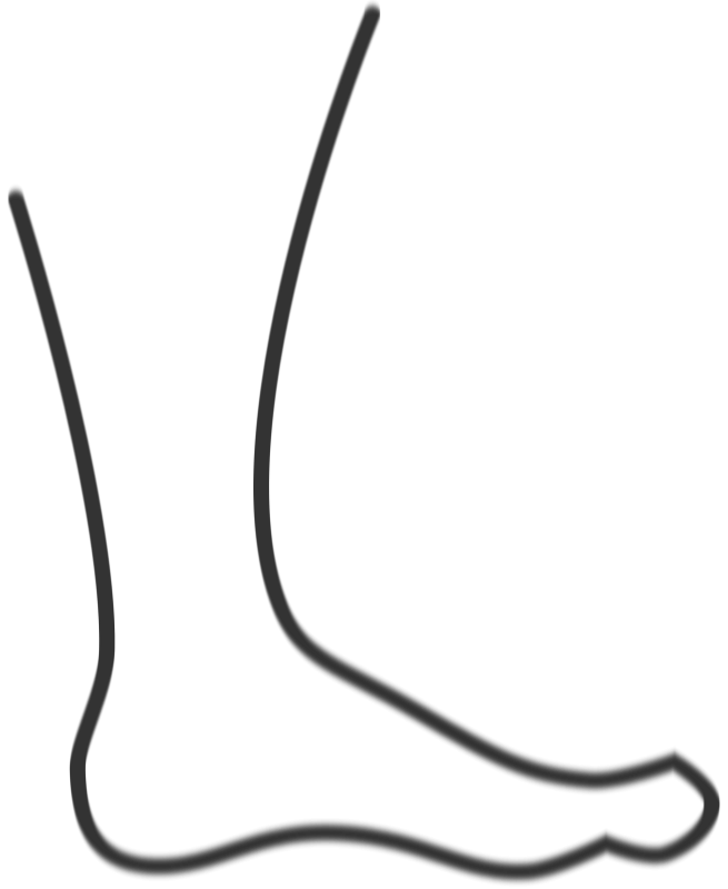 655x800 Foot Cliparts