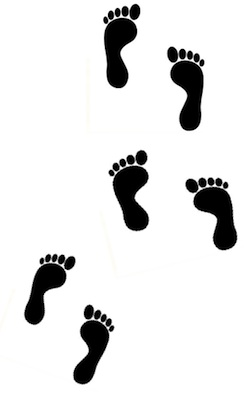 244x396 Walking Footprints Images
